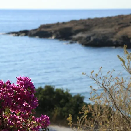 Agerino